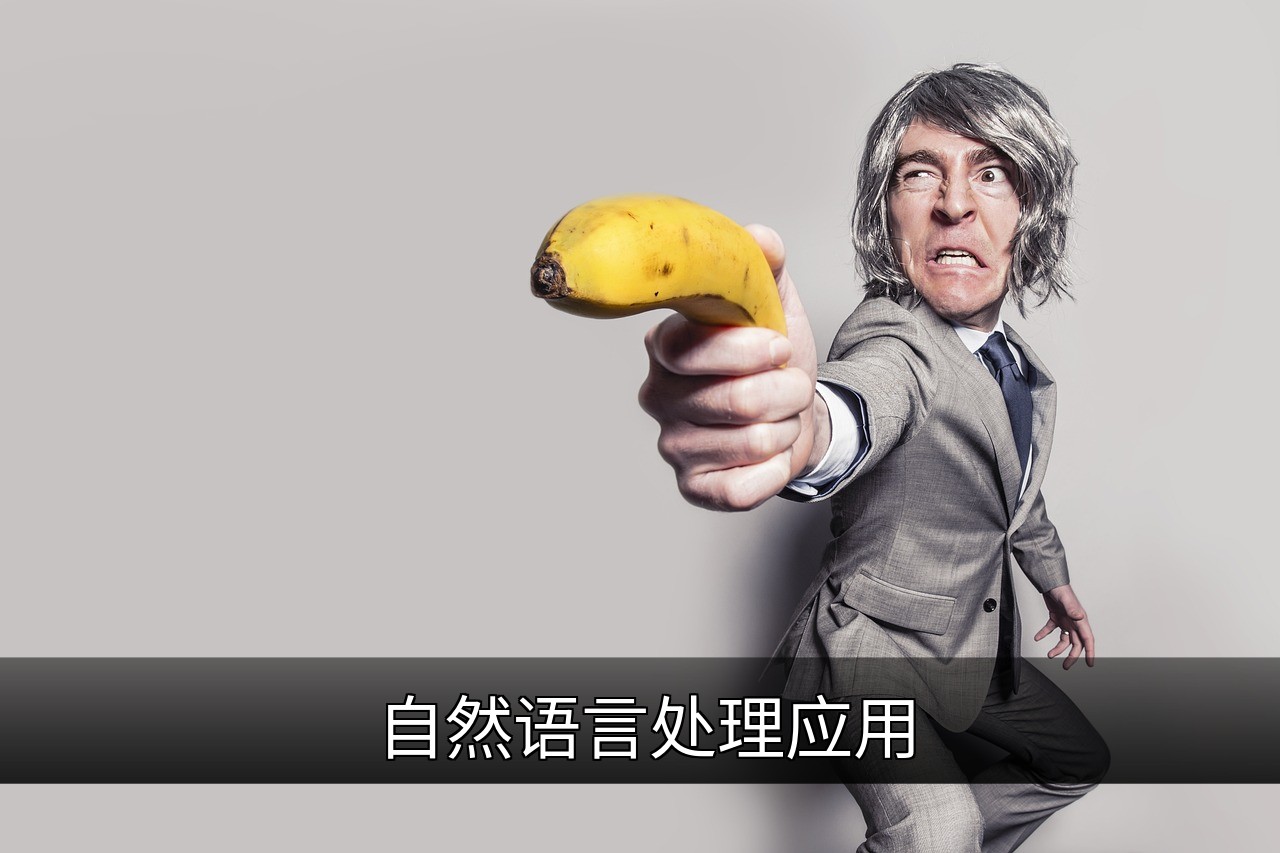 点击可放大查看 自然语言处理应用
