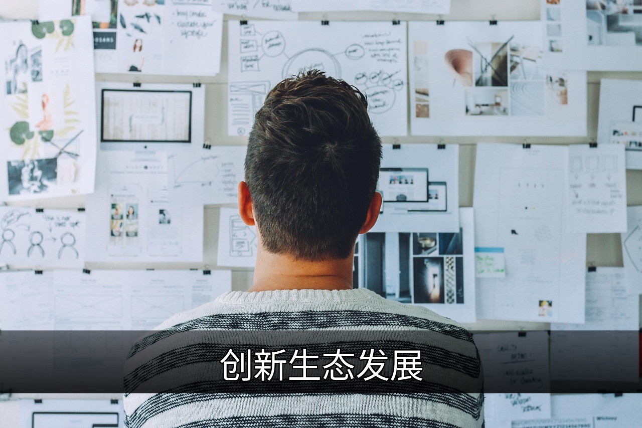 创新生态发展：可持续未来的关键路径与实践的缩略图