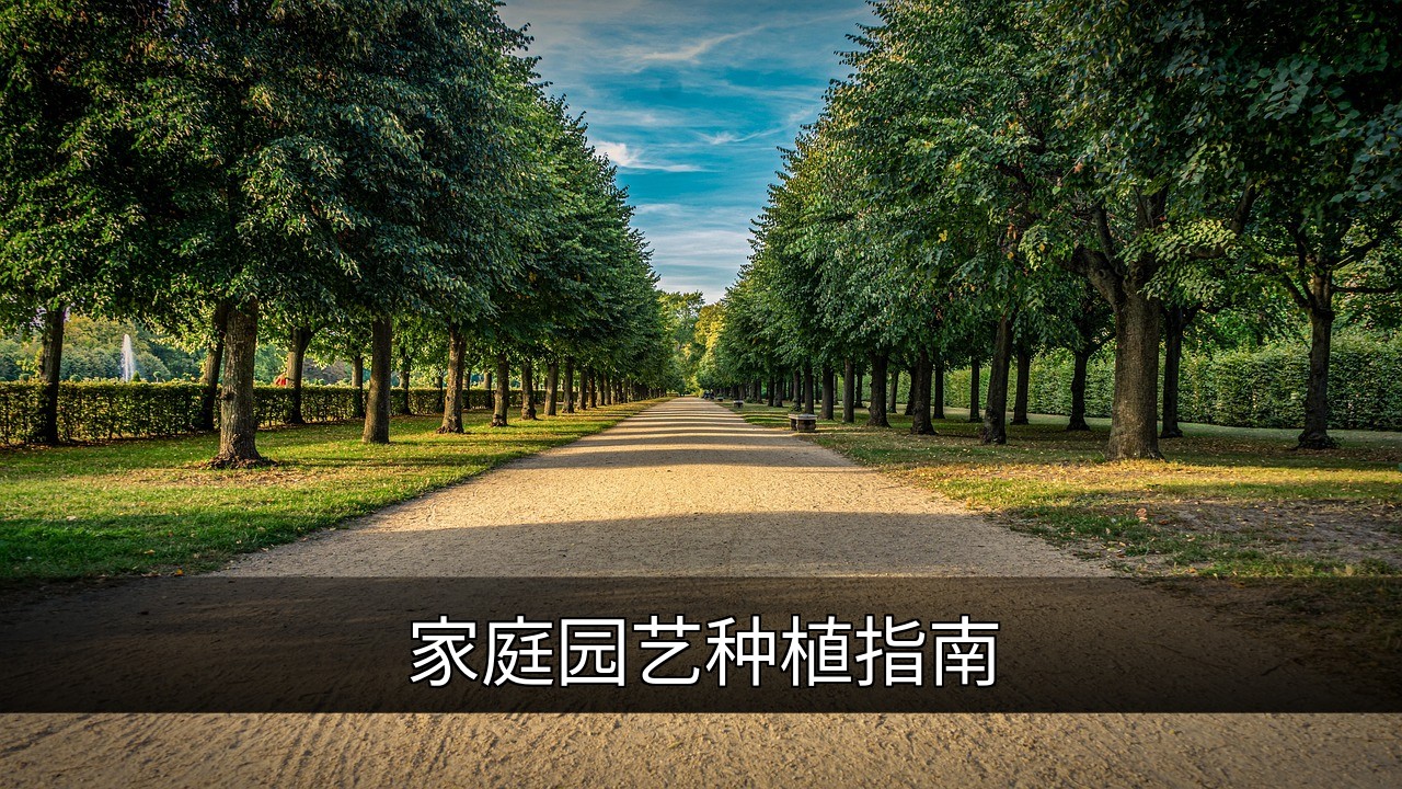 家庭园艺指南：从入门到进阶的种植技巧的缩略图
