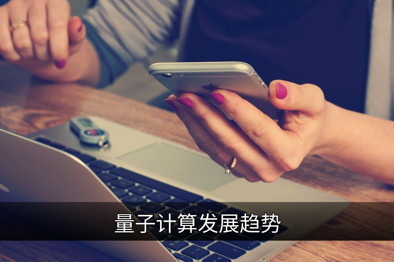 点击可放大查看 量子计算发展趋势