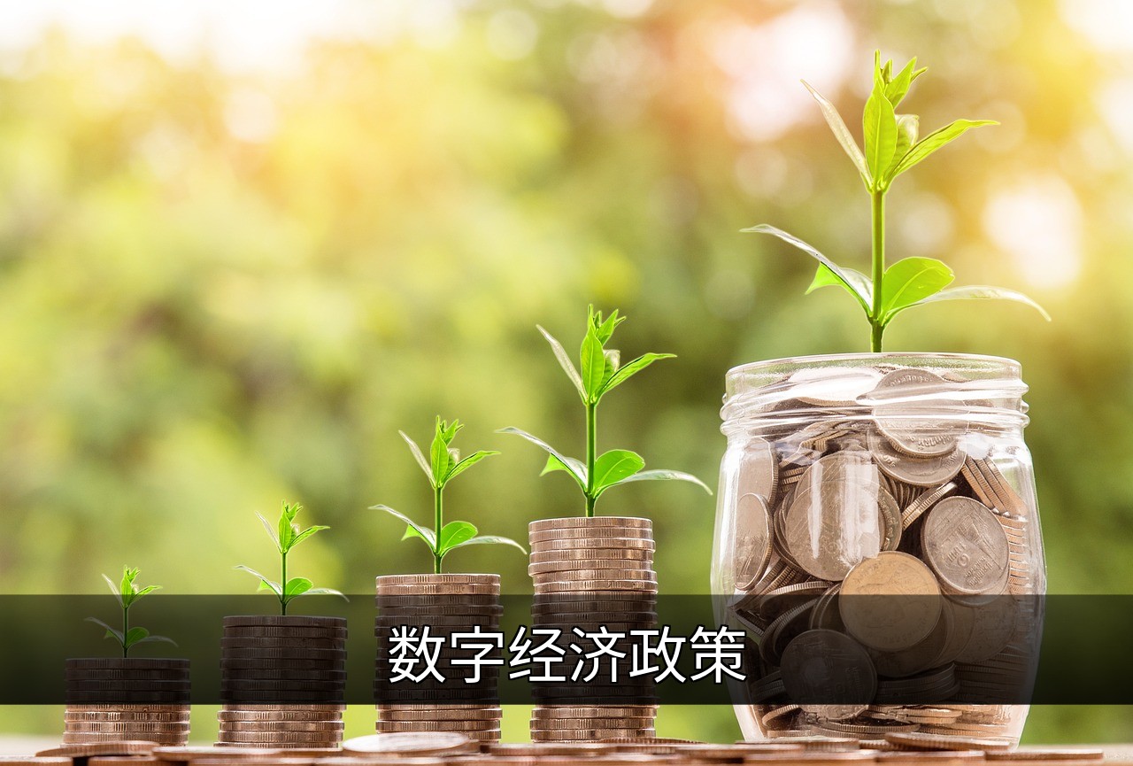 数字经济政策解析：机遇、挑战与全球趋势的缩略图
