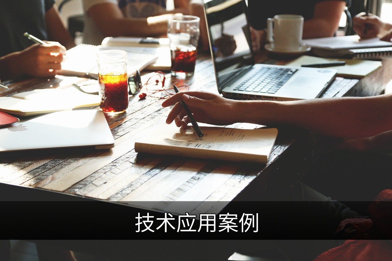 技术应用案例