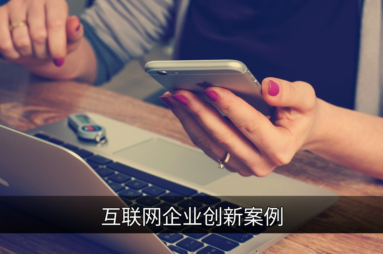 点击可放大查看 互联网企业创新案例