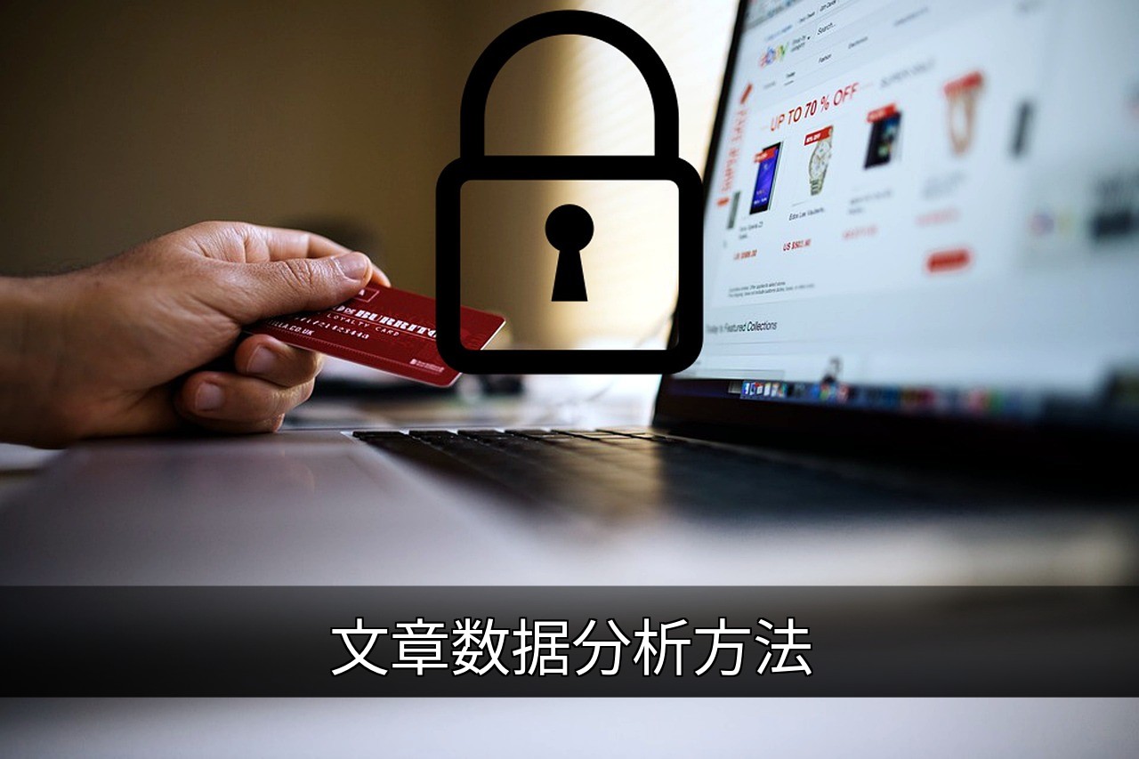点击可放大查看 文章数据分析方法
