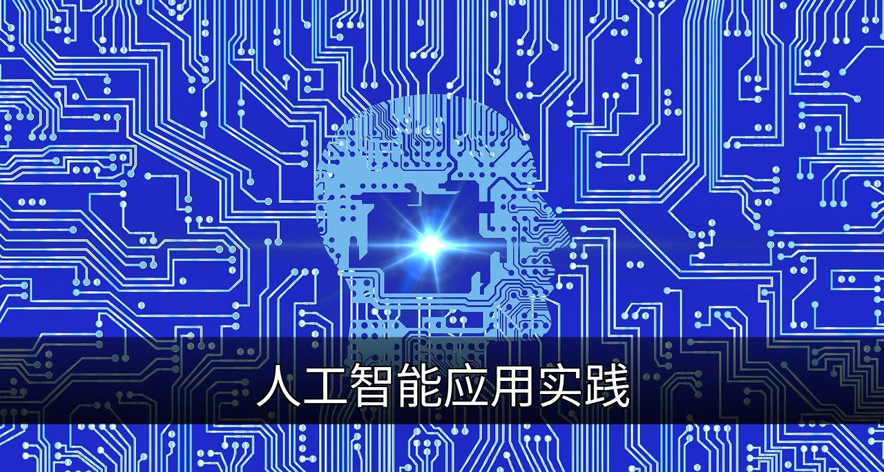 点击可放大查看 人工智能应用实践