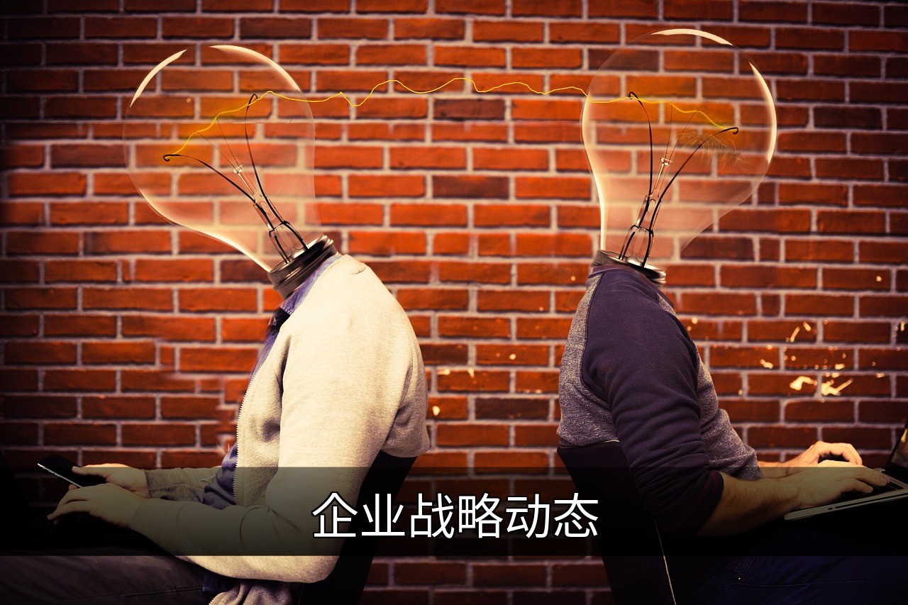 点击可放大查看 企业战略动态