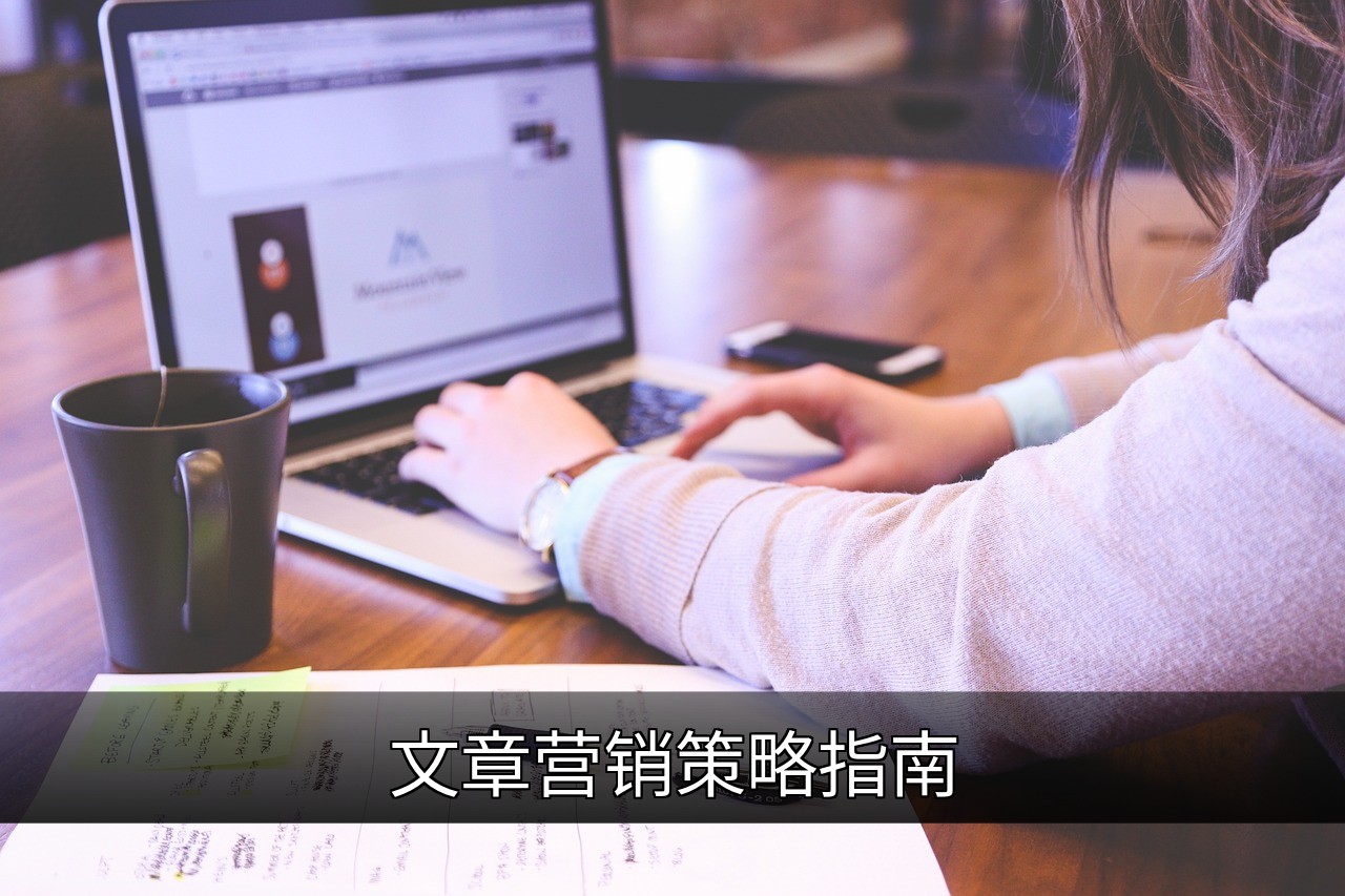 点击可放大查看 文章营销策略指南