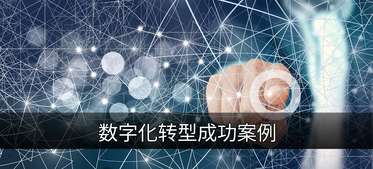点击可放大查看 数字化转型成功案例