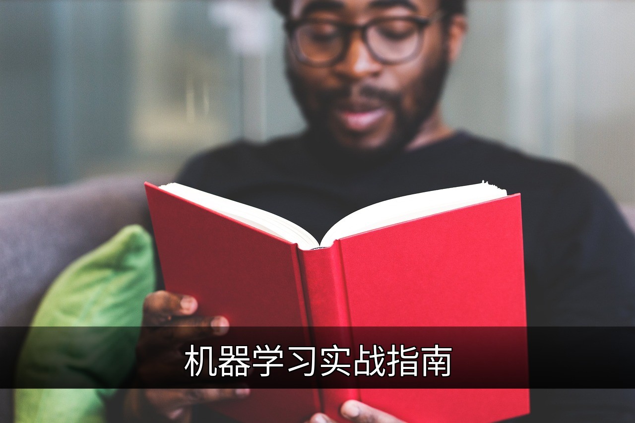 点击可放大查看 机器学习实战指南