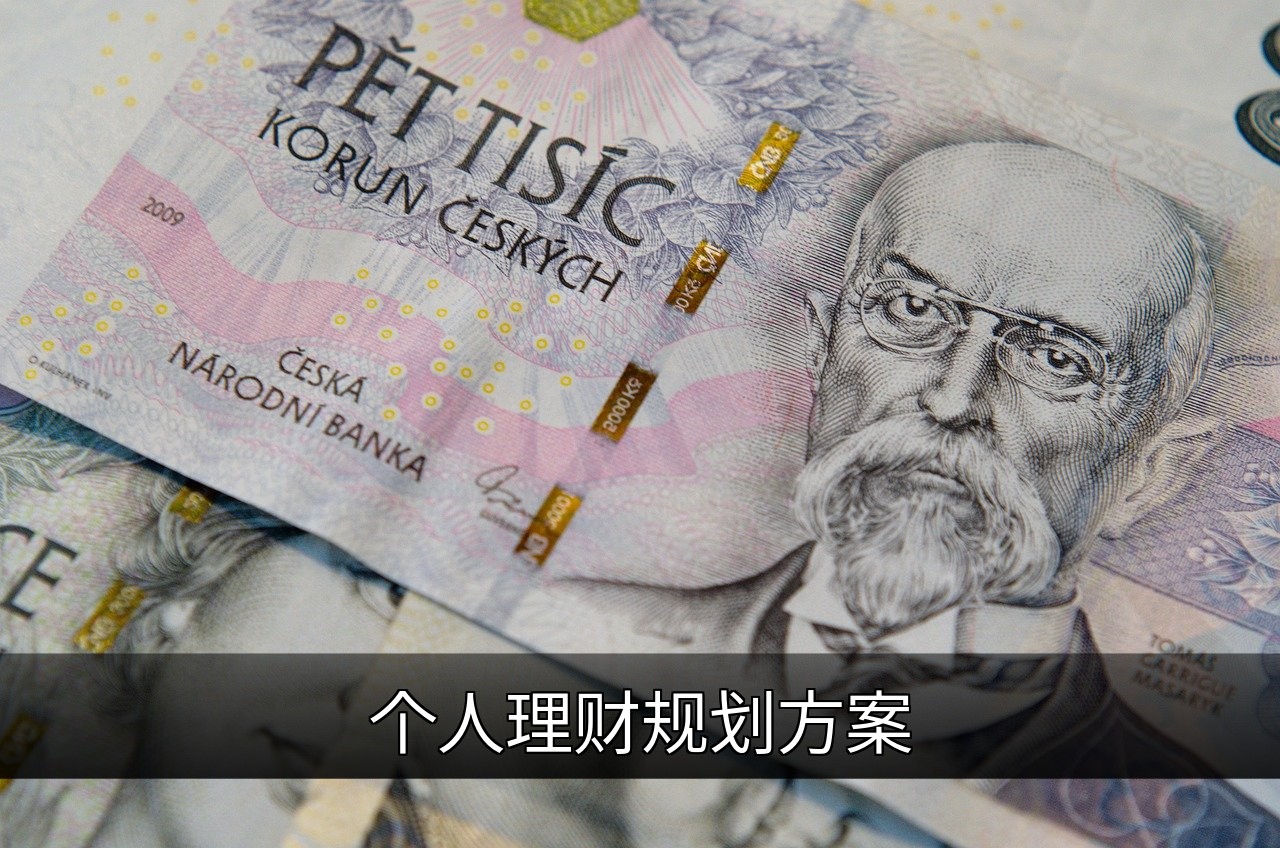 点击可放大查看 个人理财规划方案