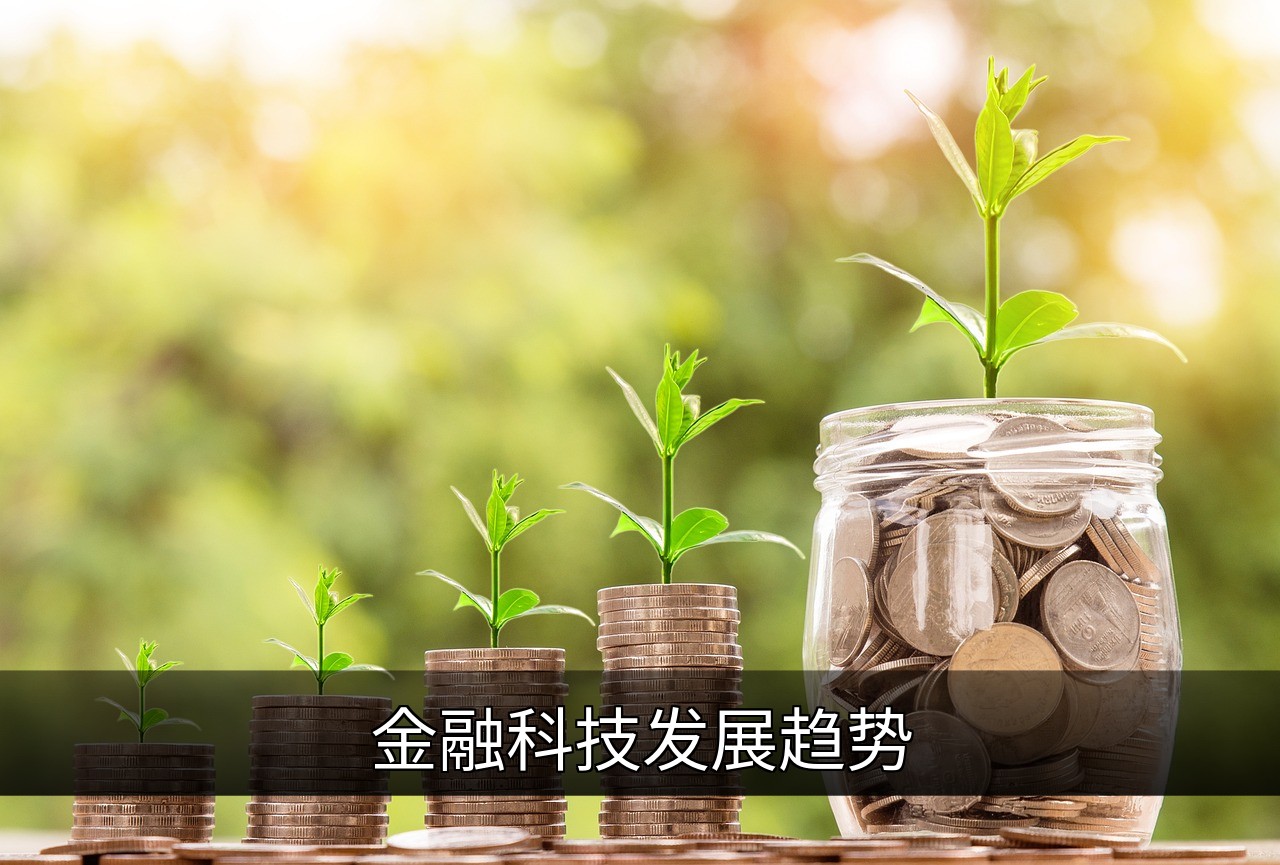 点击可放大查看 金融科技发展趋势