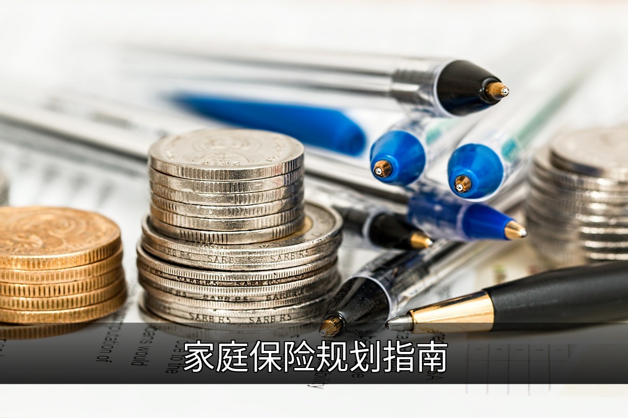 点击可放大查看 家庭保险规划指南