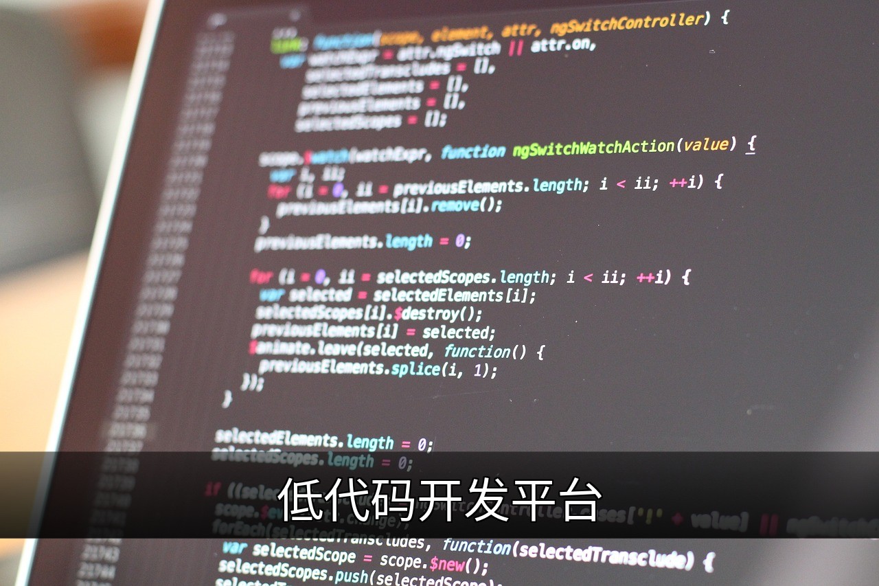 点击可放大查看 低代码开发平台