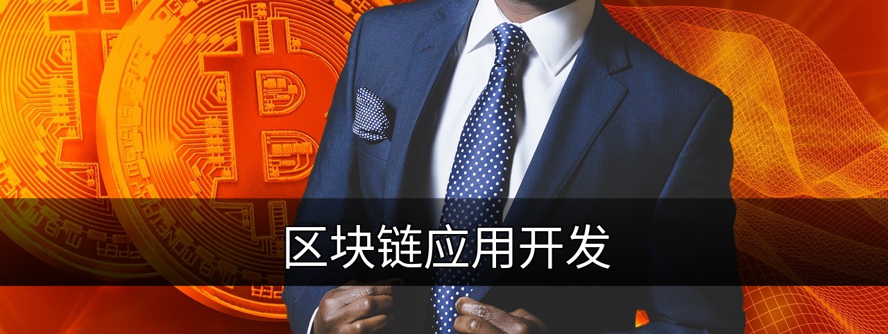 点击可放大查看 区块链应用开发