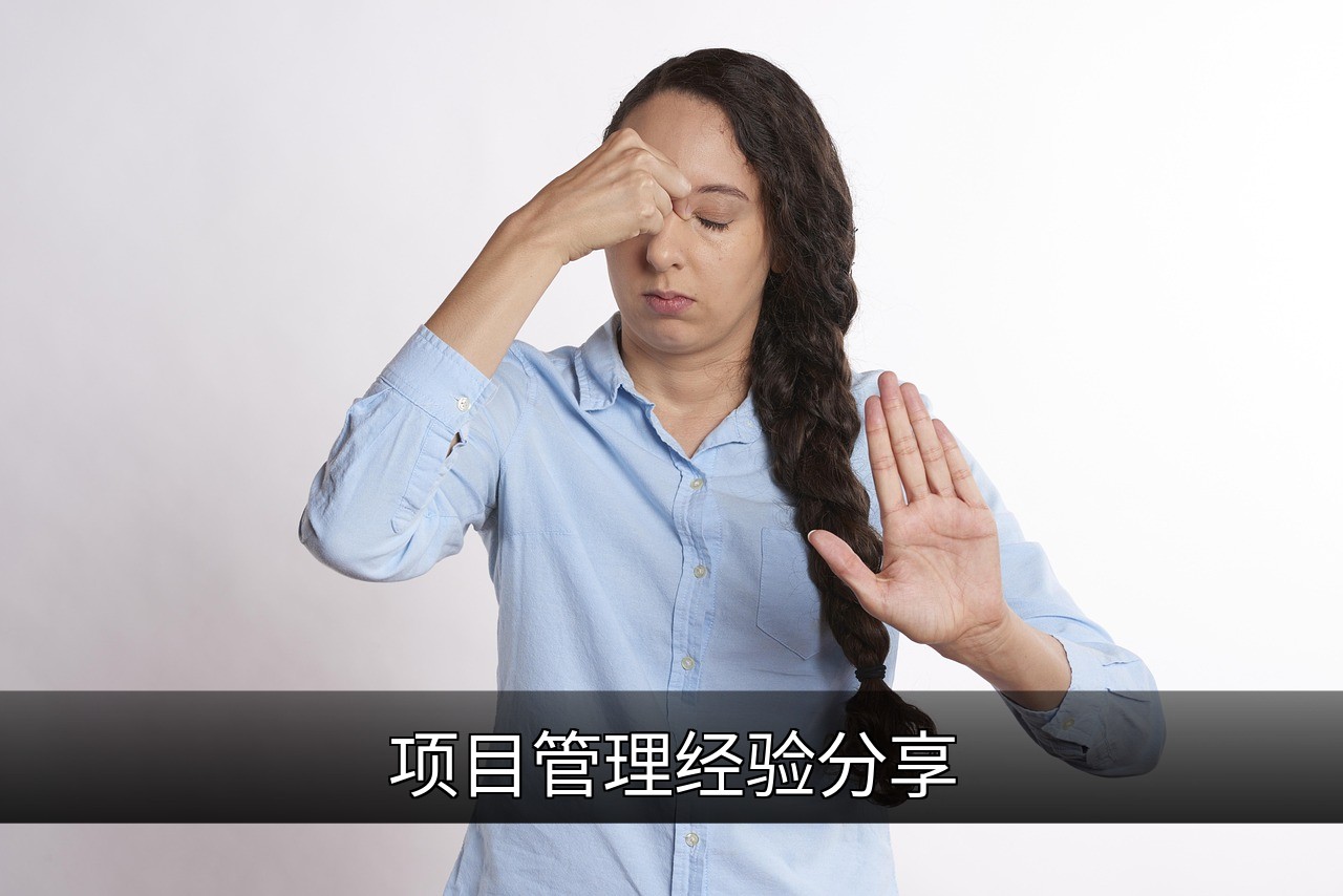 项目管理实战指南：从启动到收尾的核心技巧的缩略图