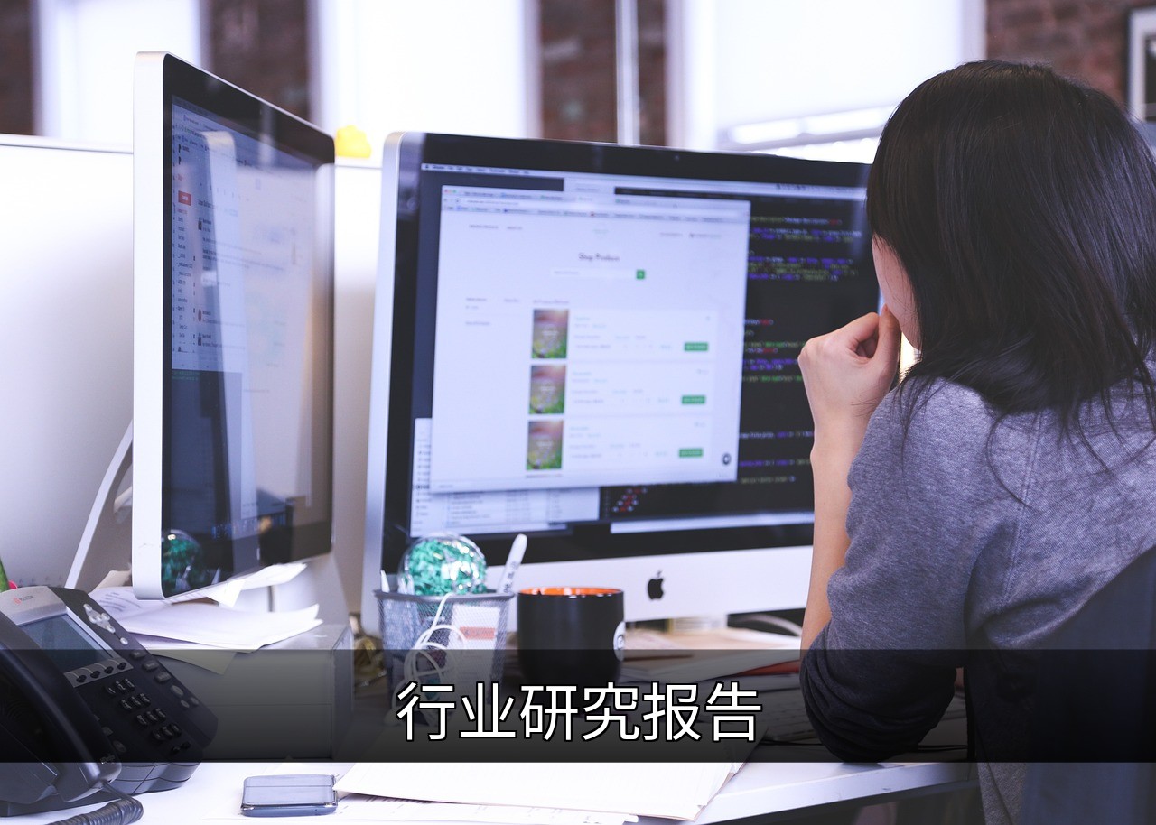 点击可放大查看 行业研究报告