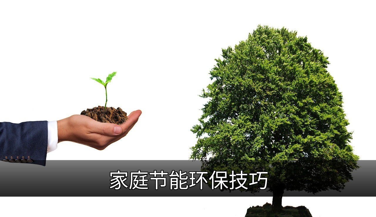 家庭节能环保实用技巧：省钱又保护环境的缩略图