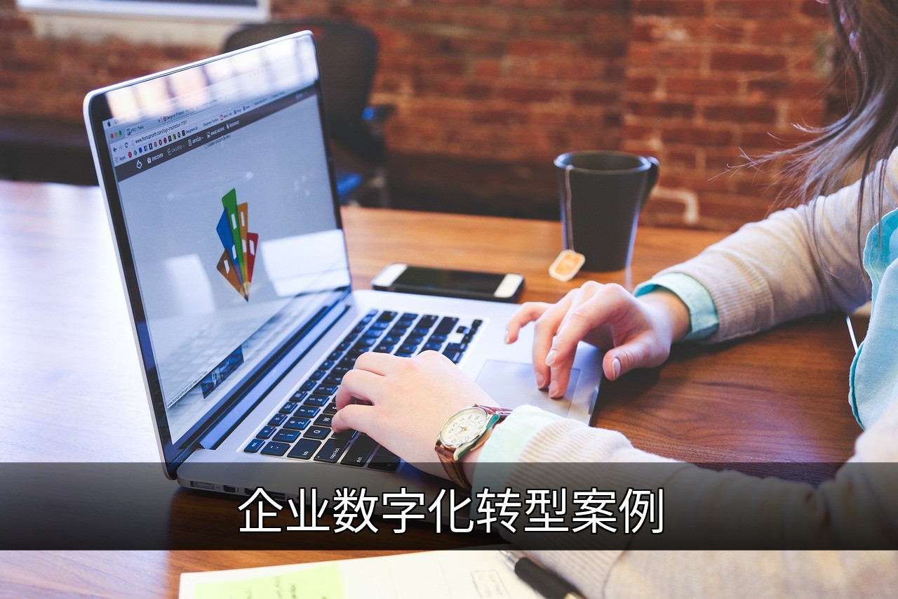 企业数字化转型案例