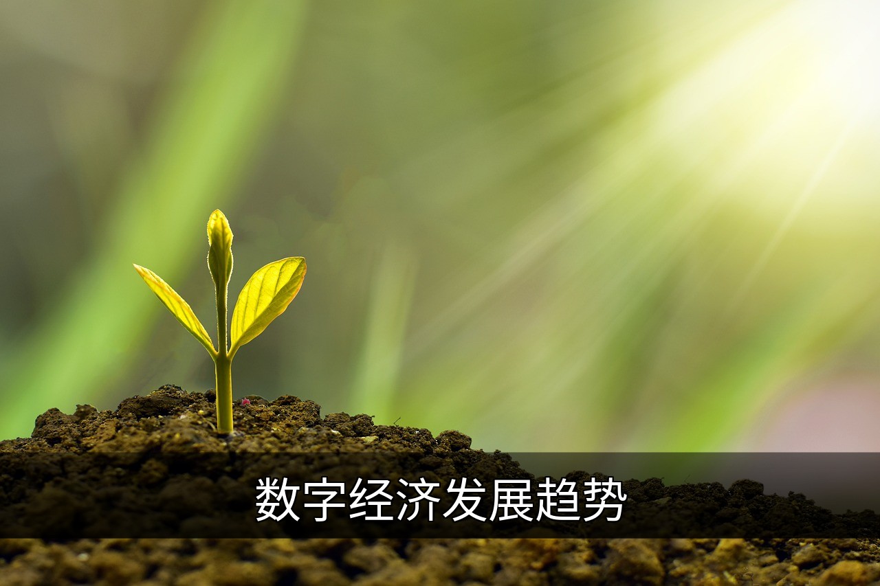 点击可放大查看 数字经济发展趋势