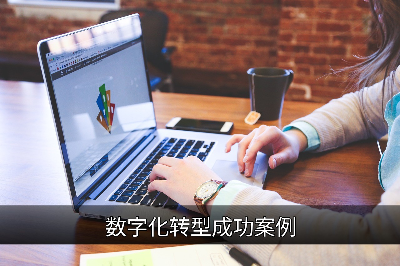 数字化转型成功案例：零售制造金融医疗行业解析的缩略图