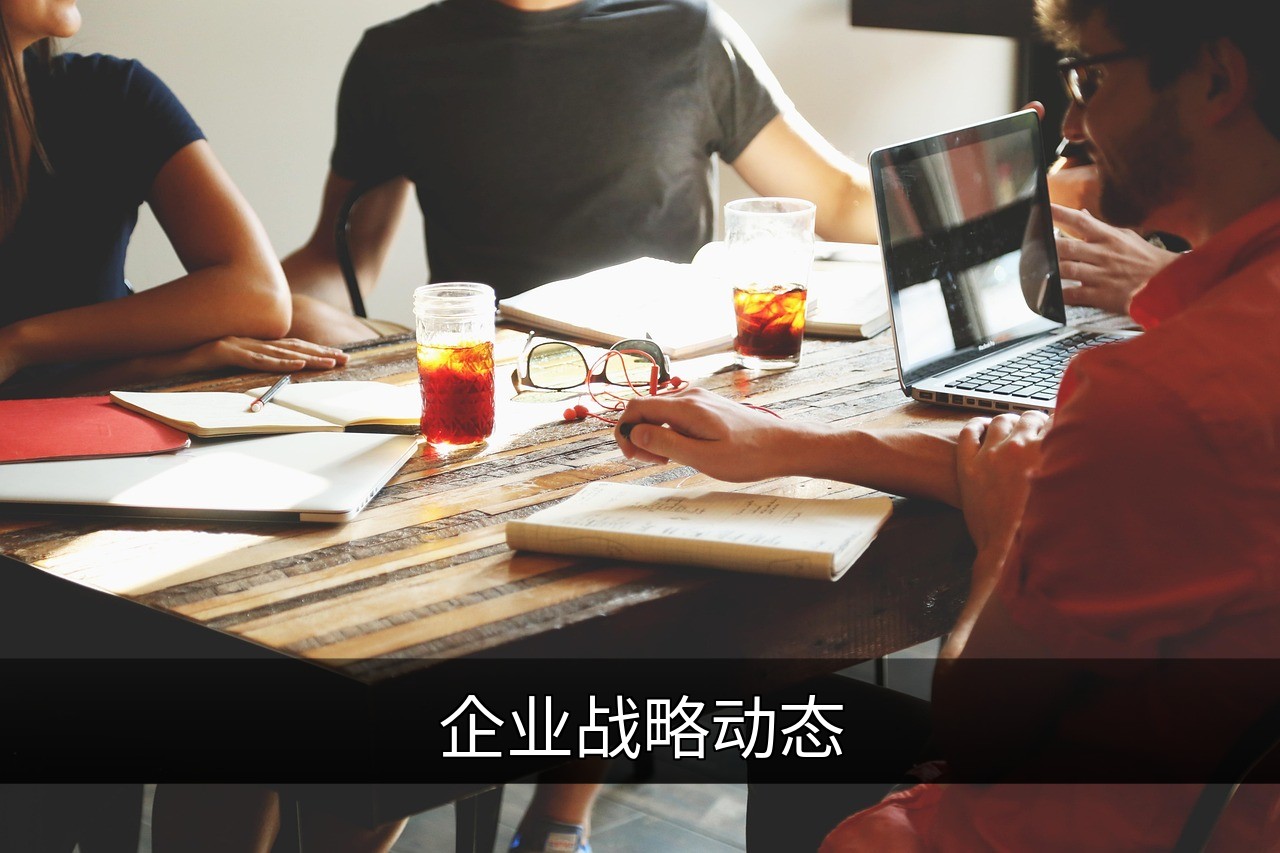 企业战略动态