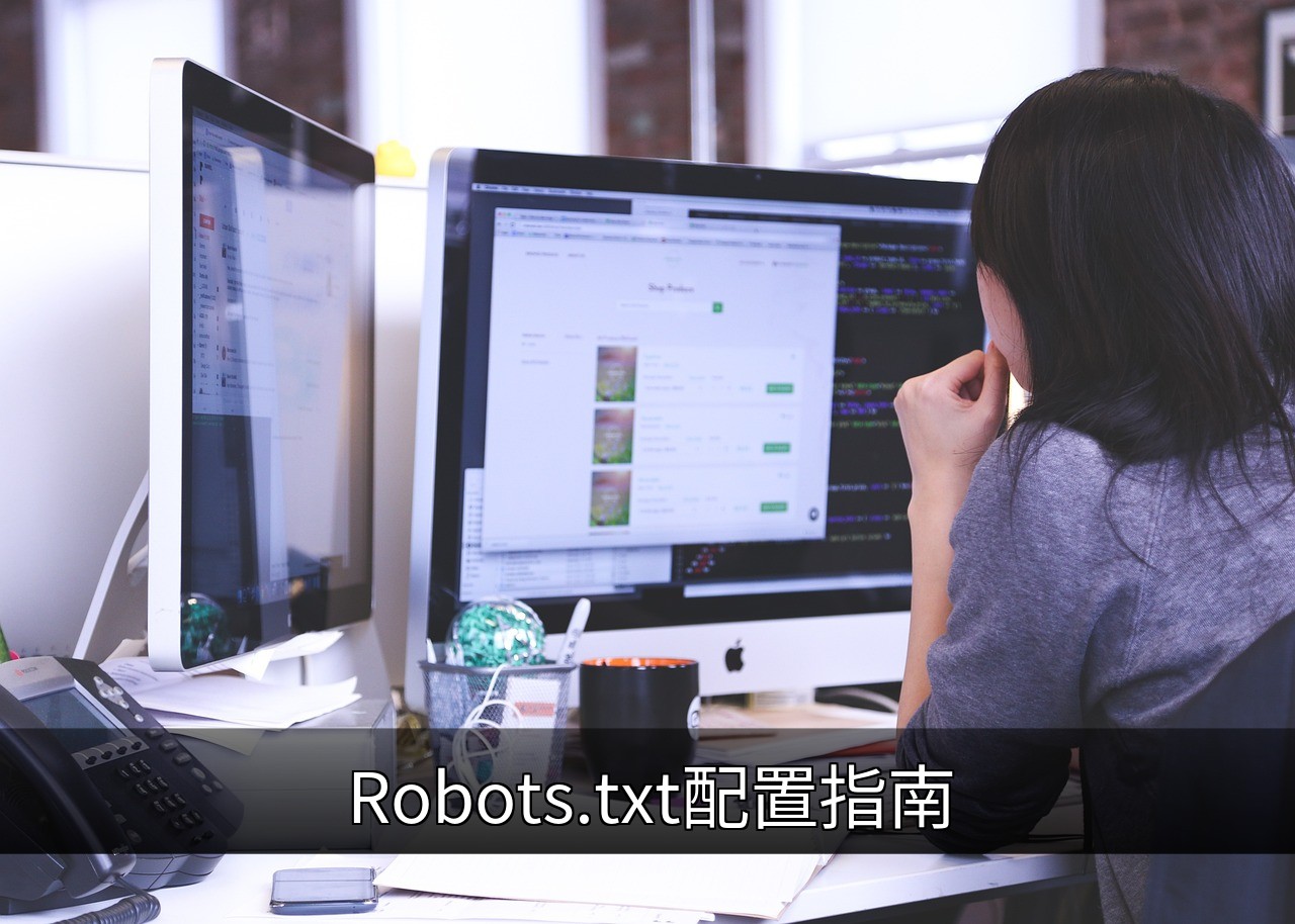 Robots.txt配置指南