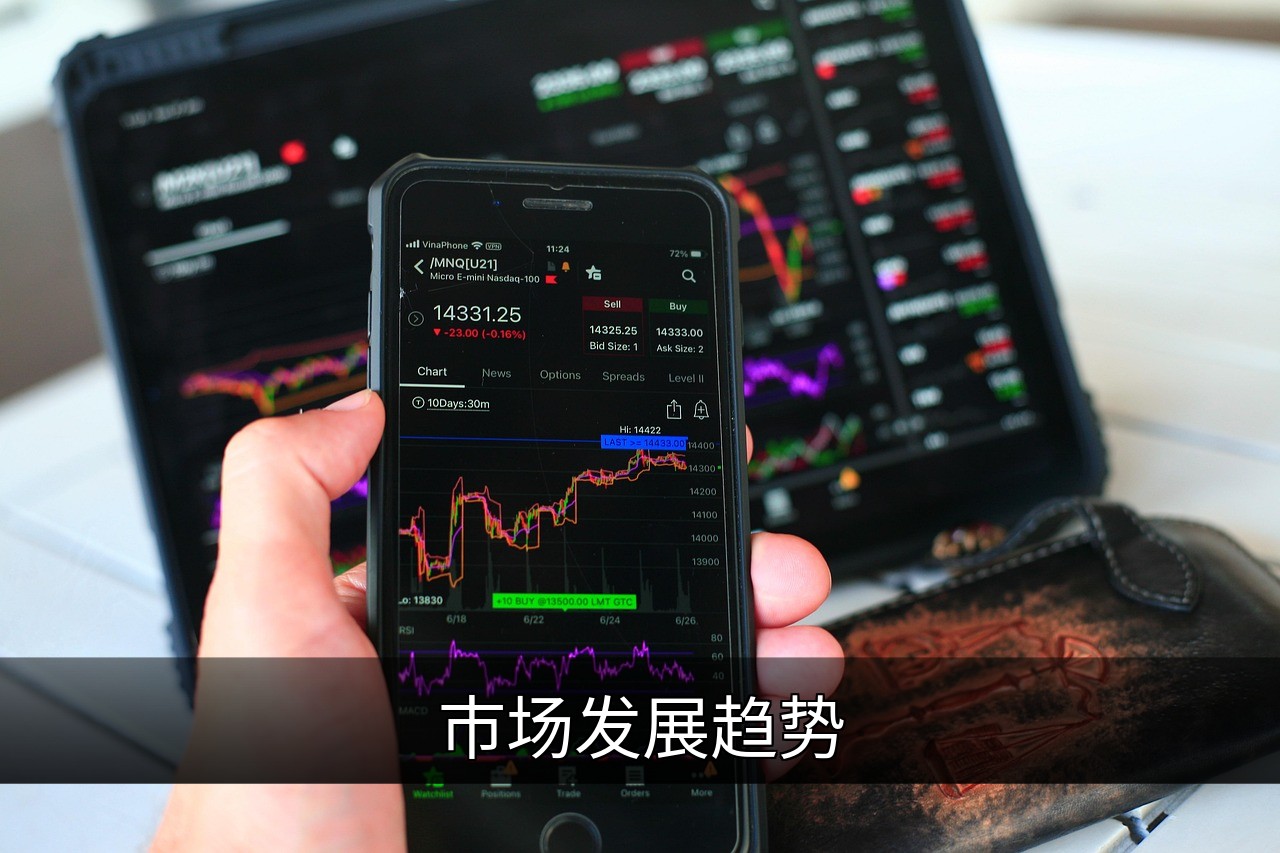 点击可放大查看 市场发展趋势