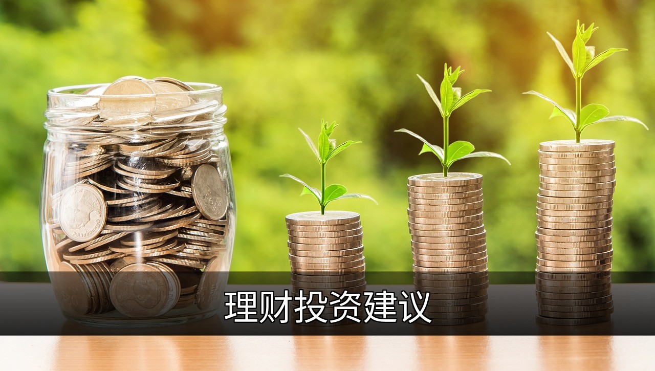 理财投资指南：从基础到进阶的财富增长策略的缩略图