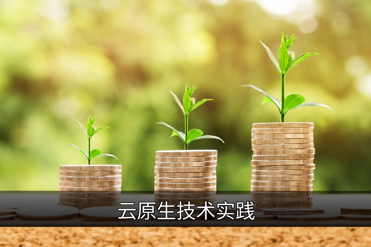 点击可放大查看 云原生技术实践