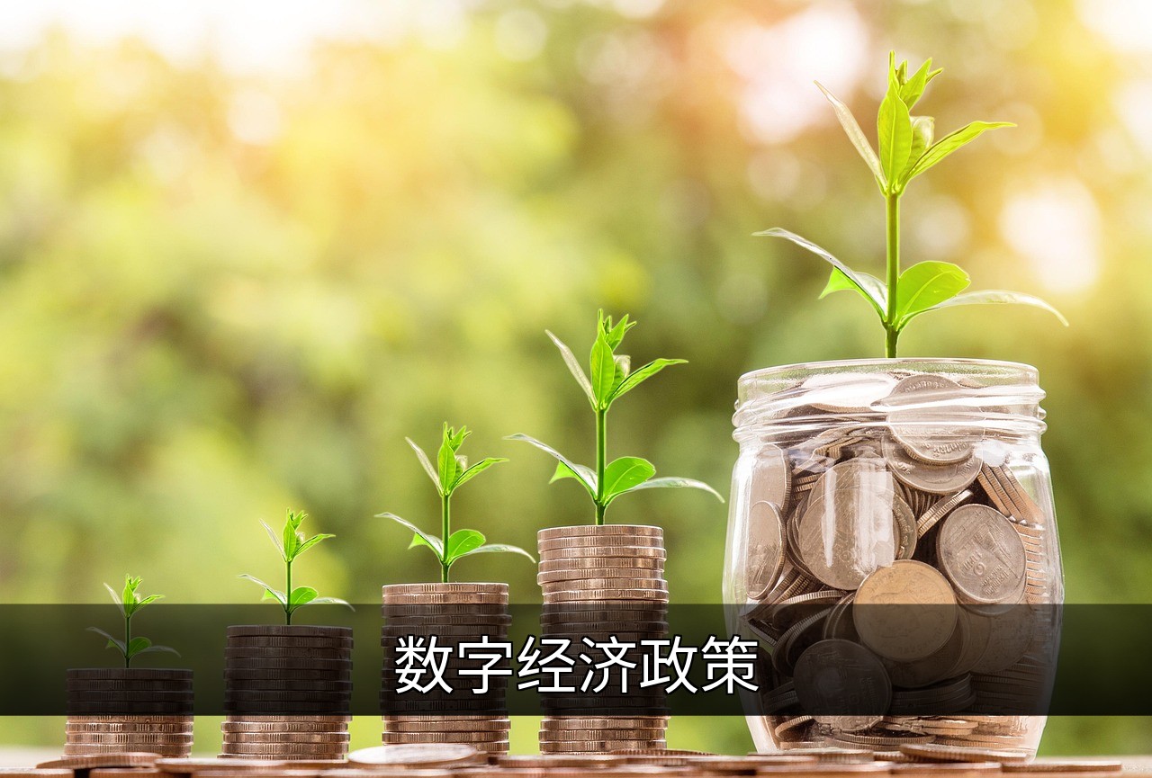 数字经济政策解析：机遇、挑战与未来趋势的缩略图