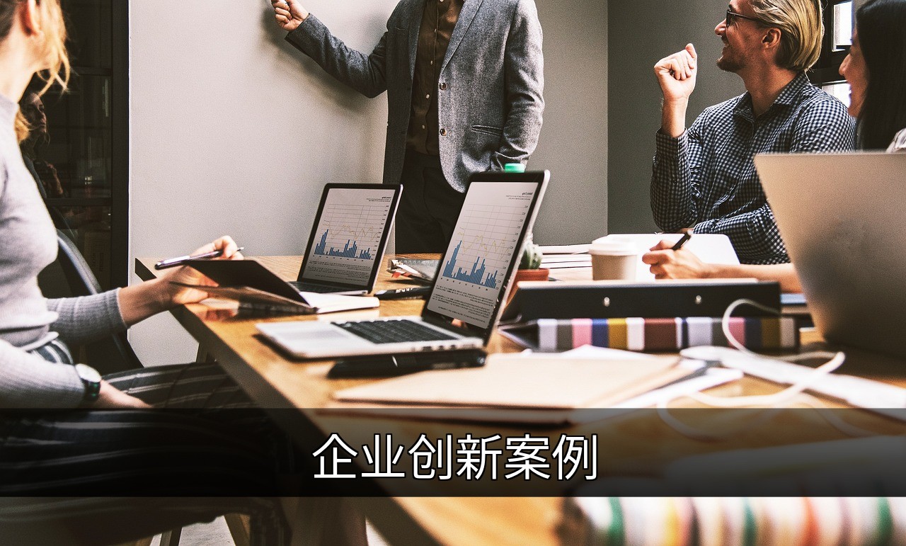 点击可放大查看 企业创新案例