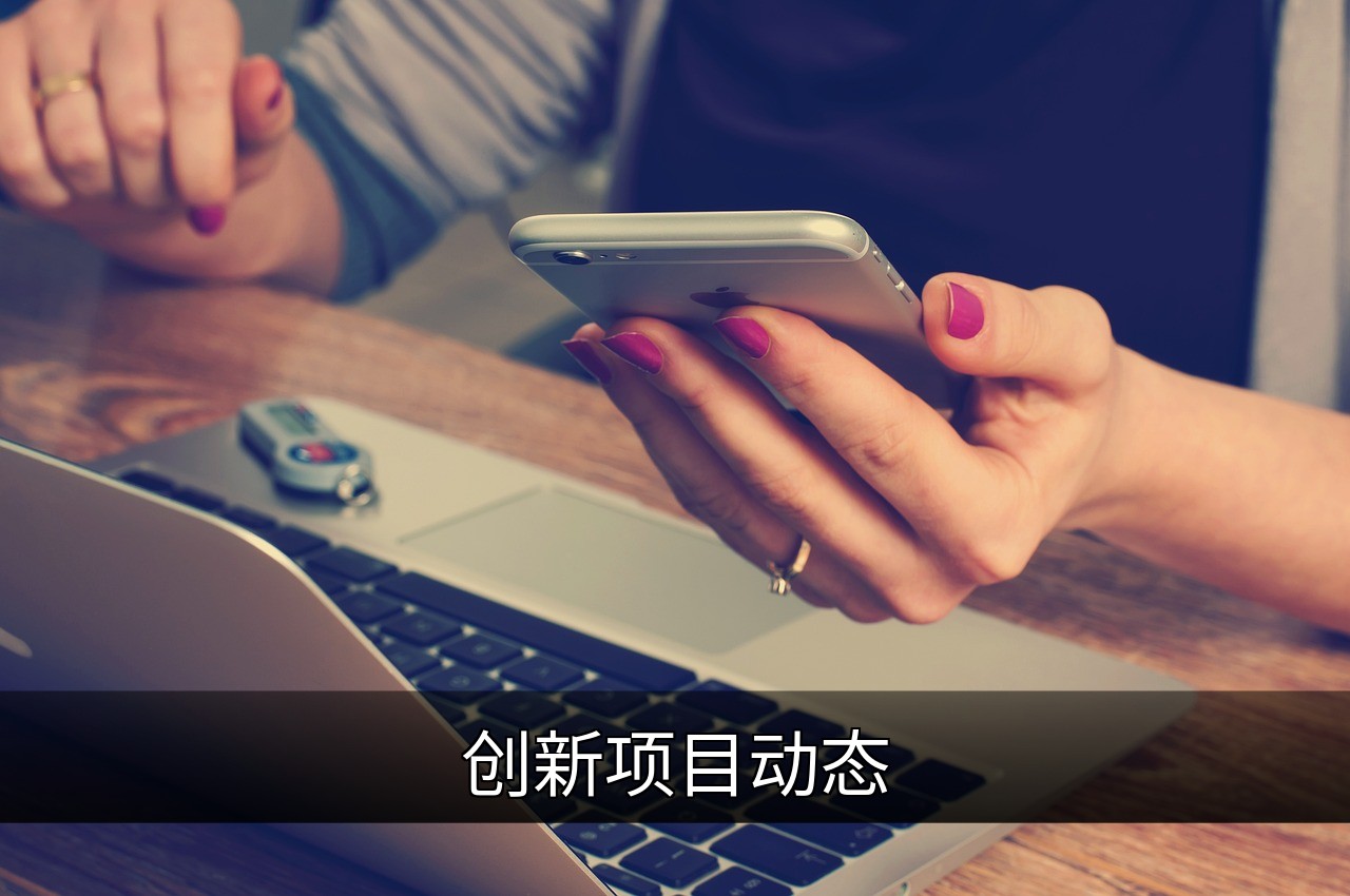点击可放大查看 创新项目动态