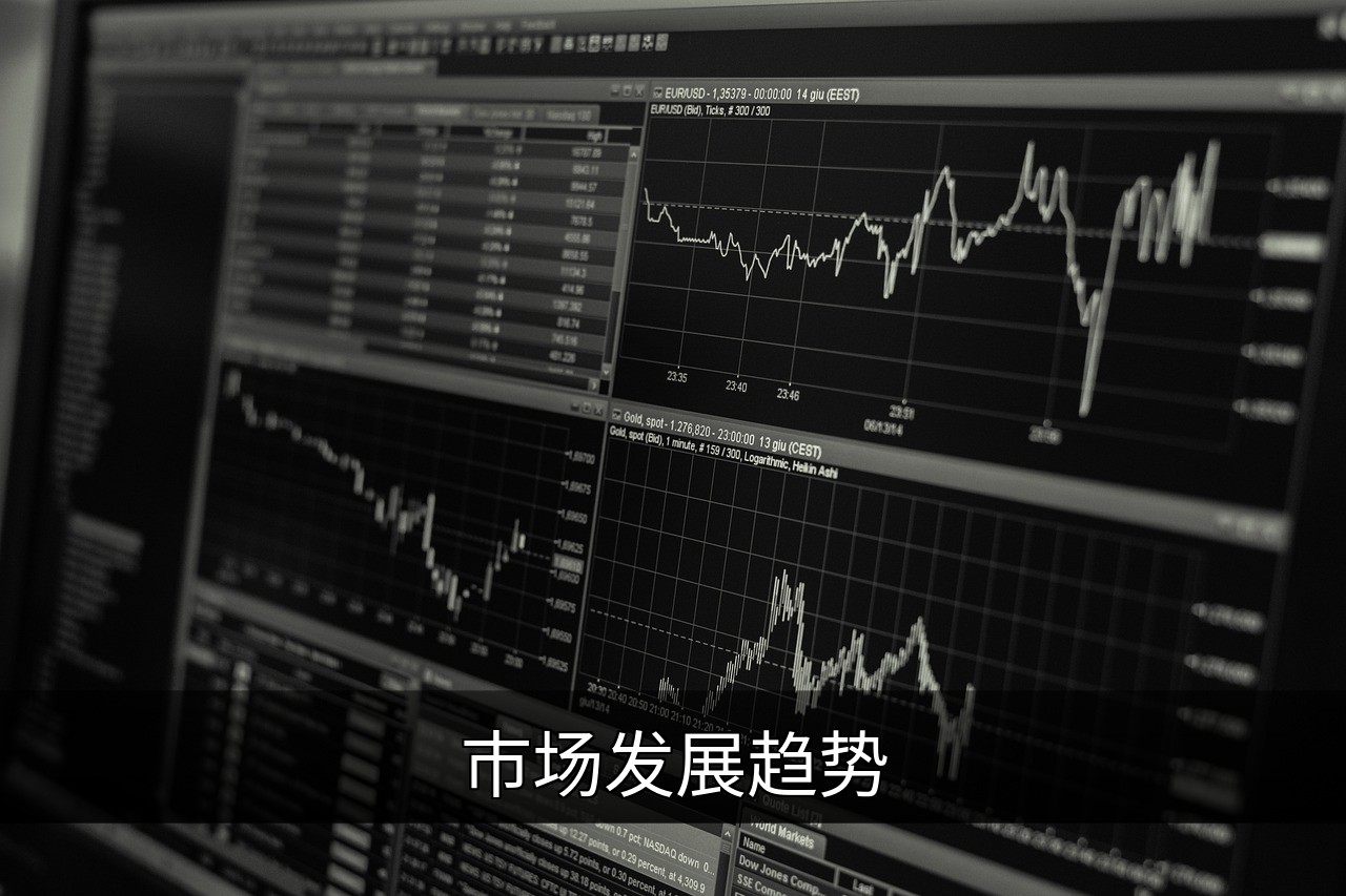 点击可放大查看 市场发展趋势