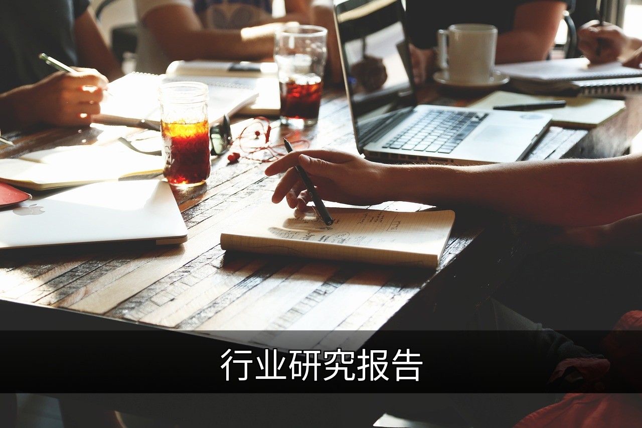点击可放大查看 行业研究报告