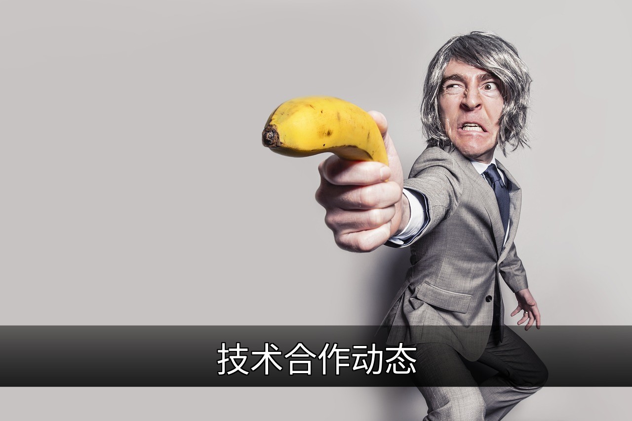 技术合作如何从竞争走向共生：生态共赢的实践路径的缩略图