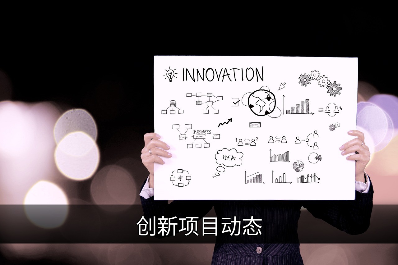 创新项目动态解析：从失败信号到临界点预测的缩略图